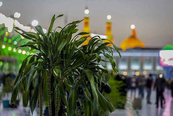 در این ماه عشق متولد شد، رشادت رشد کرد، شهامت رنگ گرفت.