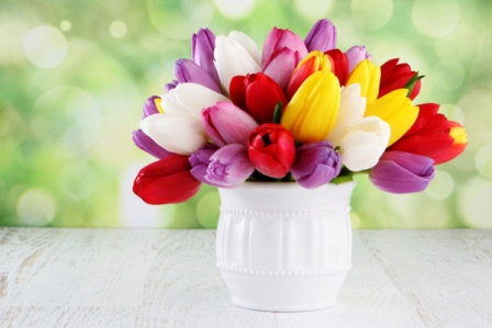 تبریک متفاوت معاون غذا و دارو اراک به مناسبت روز معلم و روز جهانی کارگر