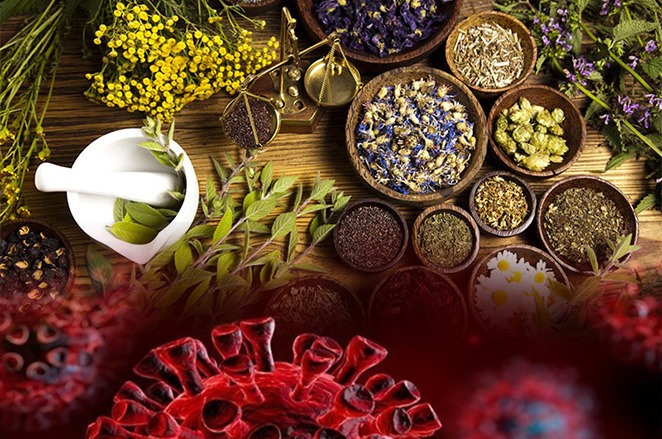 عدم صدور مجوز به فروارده‌های طبیعی، گیاهی و مکمل برای درمان کویید۱۹ /مردم فریب تبلیغات فضای مجازی را نخورند