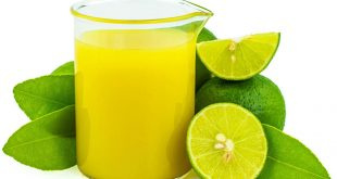 تولید آبلیمو از کنسانتره در کارخانجات/ آبلیموها تنها خاصیت چاشنی دارند