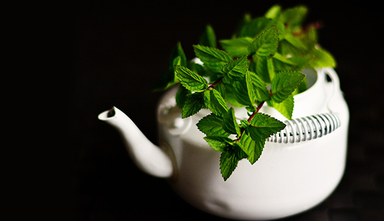 گیاهانی شگفت انگیز برای آرامش اعصاب روان