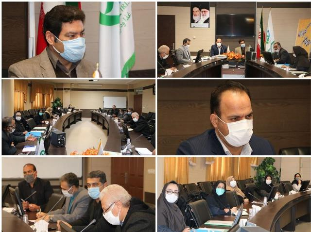 برگزاری کمیته کارگروه گندم آرد و نان استان