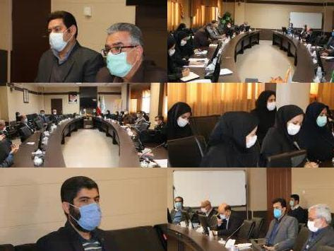 کمیته ویژه اجرای شیوه نامه پیشگیری ومبارزه با قاچاق کالاهای سلامت محور