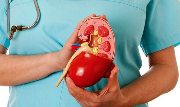 تغذیه مناسب بیماران کلیوی