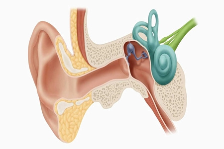 پیام های سلامت گوش و شنوایی