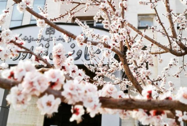 ارایه خدمات مناسب به همشهریان مهمترین اولویت معاونت غذا و دارو در ایام نوروز