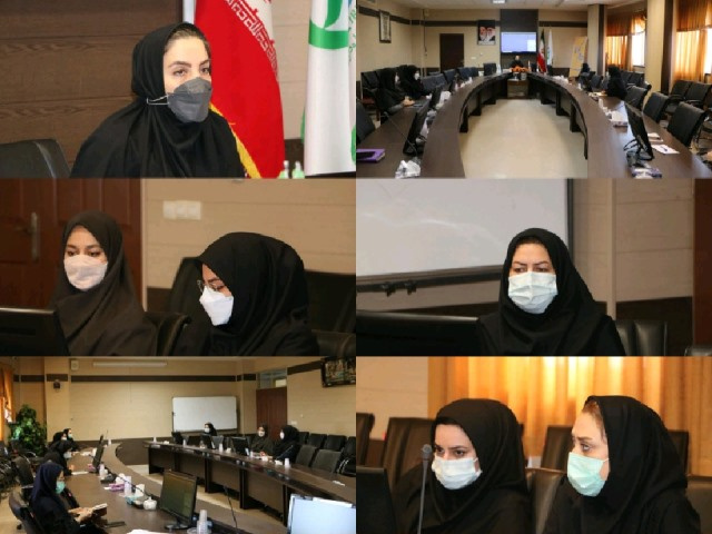 وبینار آموزشی تهیه فایل های کارگروه های تخصصی محصولات غذایی و آشامیدنی