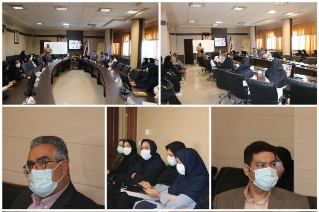 برگزاری کارگاه آموزشی سرمایه گذاری برتر (فرزند پروری)