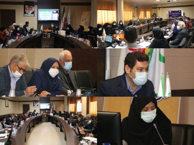 جلسه تعیین شرکا و برنامه‌های اجرایی مجامع سلامت استان و شهرستان های تابع معاونت تابعه در معاونت غذا و دارو