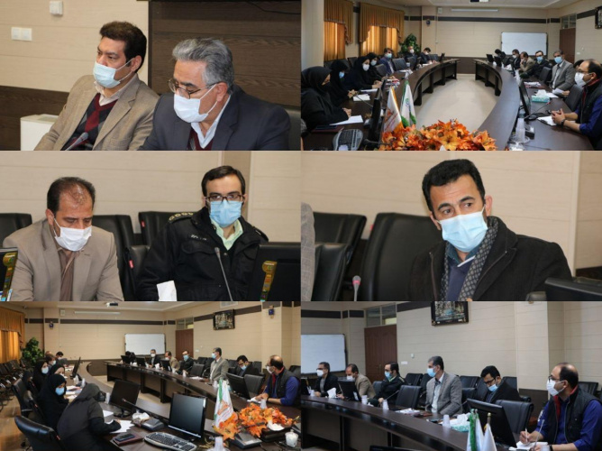 پنجمین کمیته ویژه اجرای شیوه نامه پیشگیری و مبارزه با قاچاق کالاهای سلامت محور در سال جاری