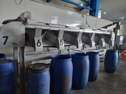 کشف ۲۵.۴ تن محصولات تاریخ مصرف گذشته مواد غذایی در خمین