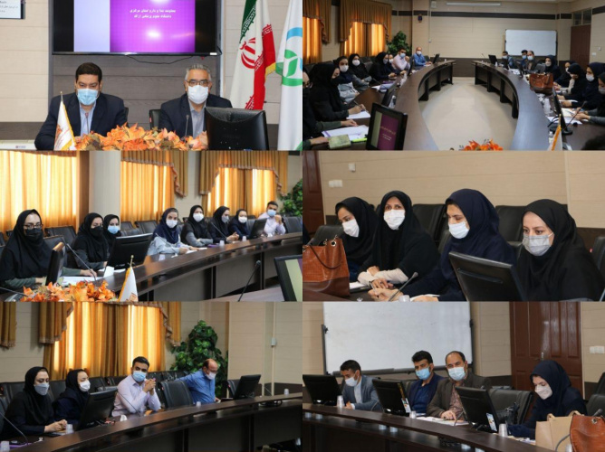 نشست معاونت غذا و دارو با کارشناسان حوزه شبکه‌های درمان تابعه دانشگاه