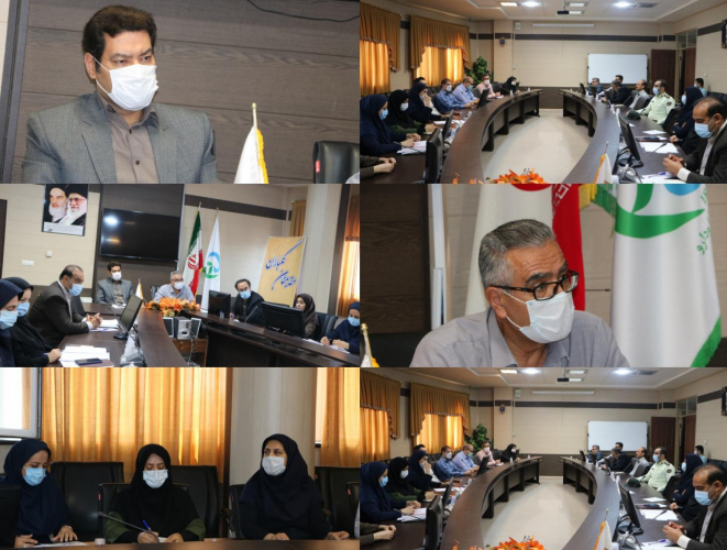 دومین کمیته ویژه اجرای شیوه نامه پیشگیری و مبارزه با قاچاق کالاهای سلامت محور در سال جاری