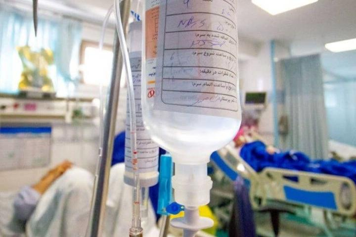 ۲۵ هزار سرم وارد استان شد