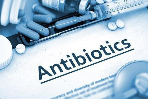 آنتی بیوتیک های خارجی در راه استان مرکزی