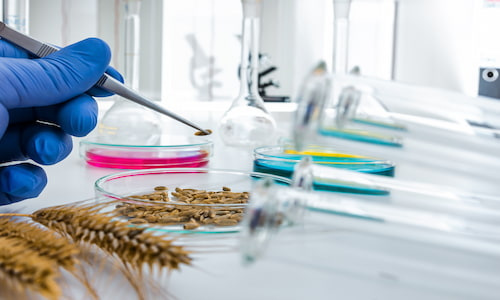 بررسی سلامت ۲۰۰ هزار فرآورده سلامت محور در آزمایشگاه‌های غذا و دارو/ آزمایش تمامی داروهایی که برای اولین بار تولید و وارد کشور می شوند