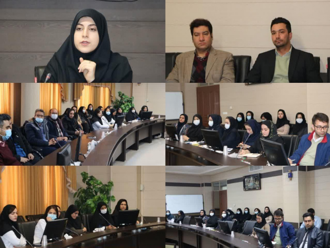 برگزاری کارگاه آموزشی اصول GMP در بازرسی از کارخانه های دارویی