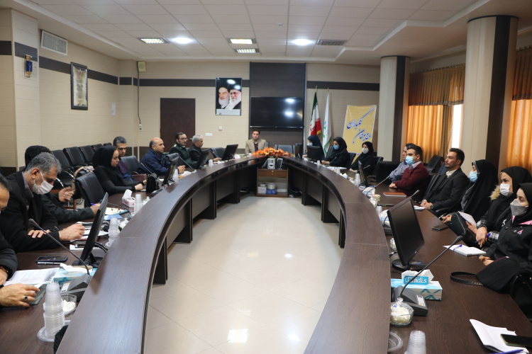 پنجمین کمیته ویژه اجرای شیوه نامه پیشگیری و مبارزه با قاچاق کالاهای سلامت محور در سال جاری