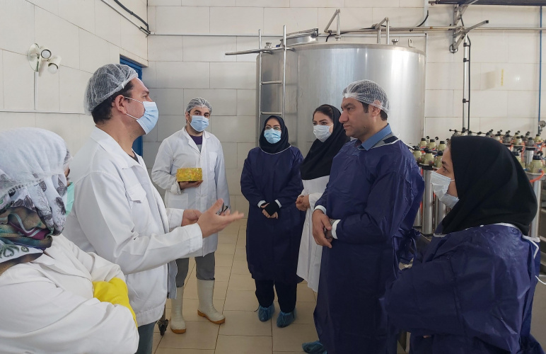 بازدید معاون غذا و دارو از واحد تولید پنیر سازی صحرای و شرکت آریا لاوین پارس شهرستان آشتیان