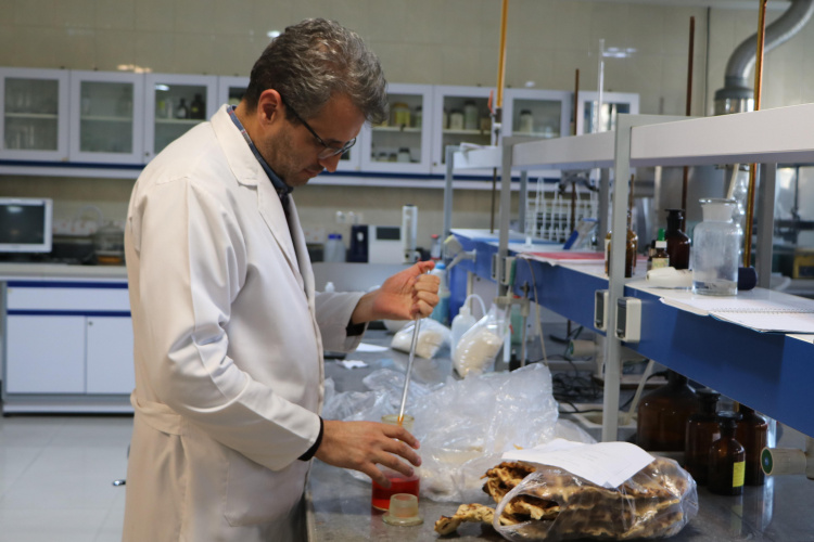 انجام ۹۴۶ آزمایش تخصصی بر روی نمونه های مواد غذایی در ایام نوروز