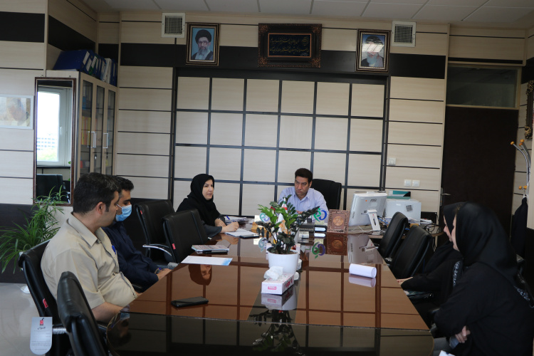 بررسی روند توزیع و مشکلات داروهای بیماران خاص در داروخانه های استان