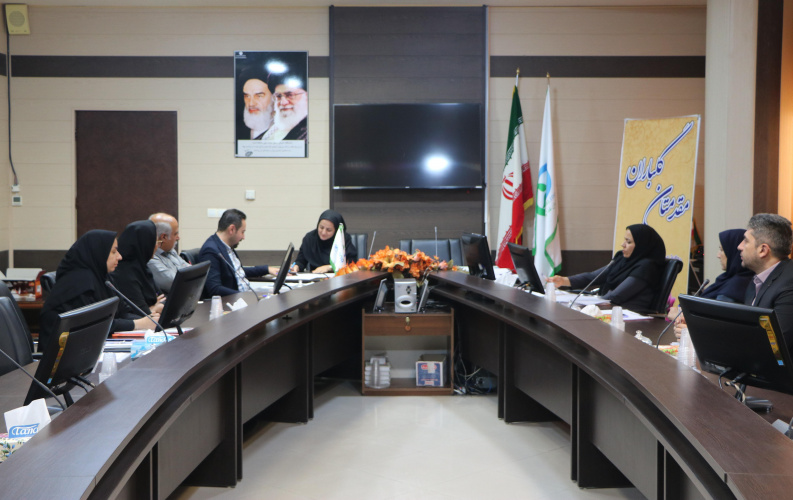 بررسی ۲۳ پرونده در هفتمین کمیسیون فنی_تخصصی صدور پروانه های بهداشتی و واحد های تولیدی غذایی و بهداشتی