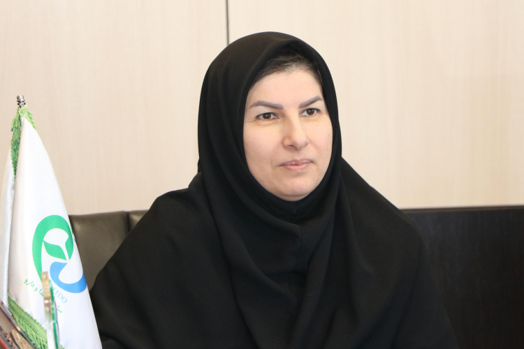 روزانه ۴ تا ۶ داروخانه در استان مرکزی بازدید می‌شود