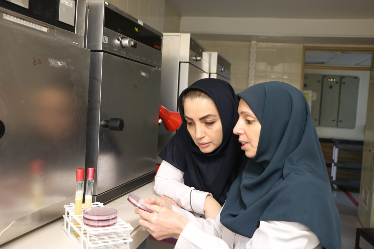 ۱۳۸ بازرسی از آزمایشگاه‌های واحد‌های تولیدی استان مرکزی