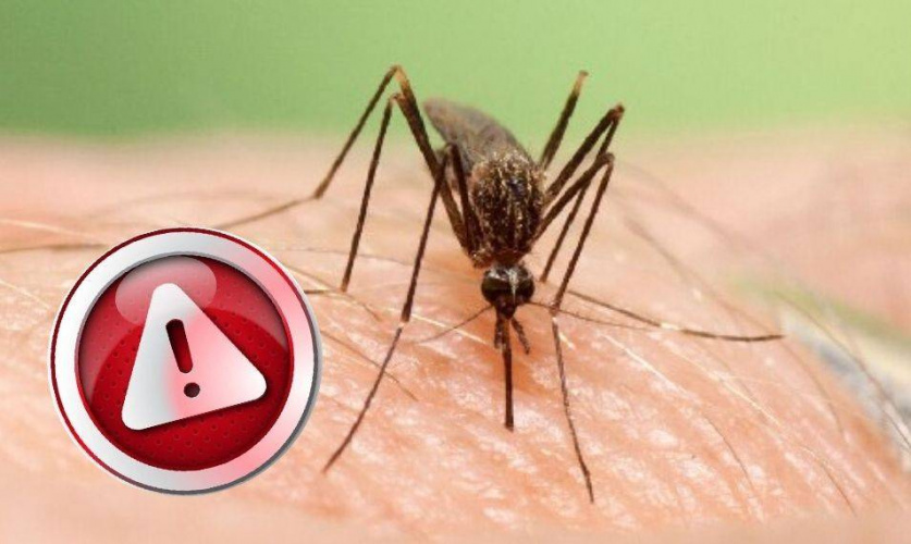 تبلیغات غیرواقع درخصوص فراورده های دفع پشه آئدس برای پیشگیری از تب دنگی