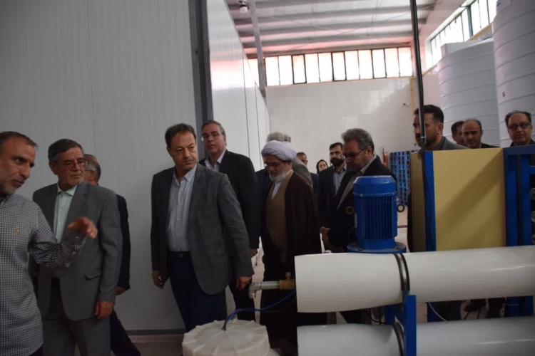 ظرفیت بالای شهرستان محلات در توسعه واحدهای تولیدی گیاهان دارویی