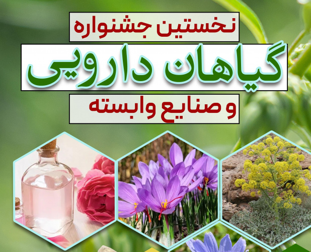 برگزاری نخستین جشنواره گیاهان دارویی و صنایع وابسته در شهرستان خنداب