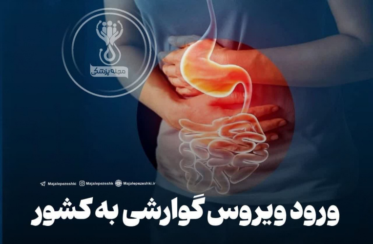 ورود ویروس گوارشی به کشور