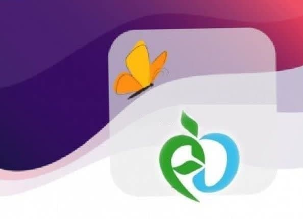 فراخوان تامین پانسمان‌های پیشرفته برای بیماران پروانه‌ای در سال ۱۴۰۵