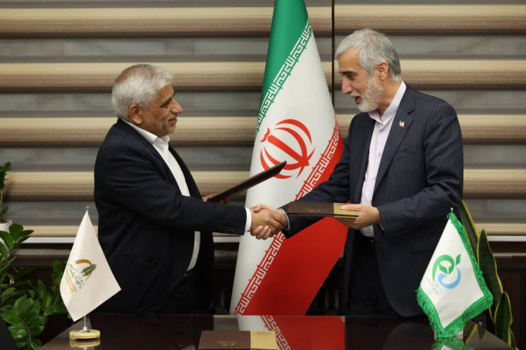 هم‌افزایی علم و سلامت؛