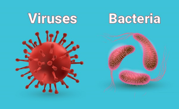 مقاومت آنتی بیوتیکی مهم ترین نتیجه عدم مصرف منطقی آنتی بیوتیک ها