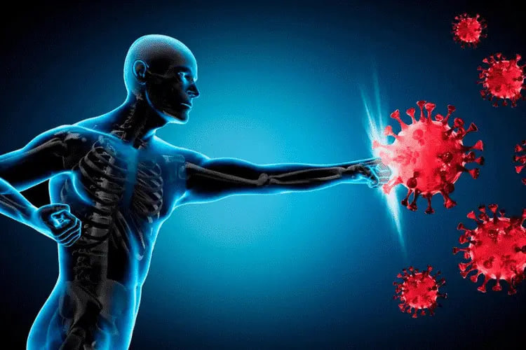 بهترین داروهای تقویت سیستم ایمنی بدن در فصول سرد