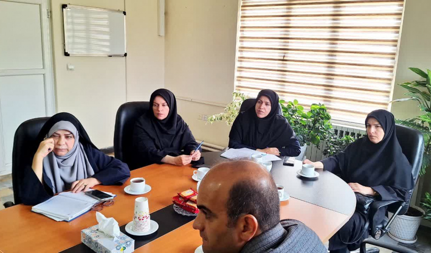 برگزاری شانزدهمین جلسه کارگروه کاهش‌ تصدی دانشگاه علوم پزشکی اراک