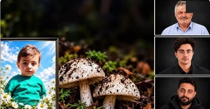 چهار فوتی در مسمومیت با قارچ سمی