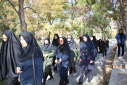 برگزاری برنامه پیاده‌روی بانوان مرکز بهداشت استان در چارچوب هفته ملی سلامت بانوان