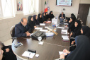بسیج دانشگاه علوم پزشکی اراک برای کاهش سقط عمدی؛ از ارتقای سواد سلامت تا مطالعات پژوهشی