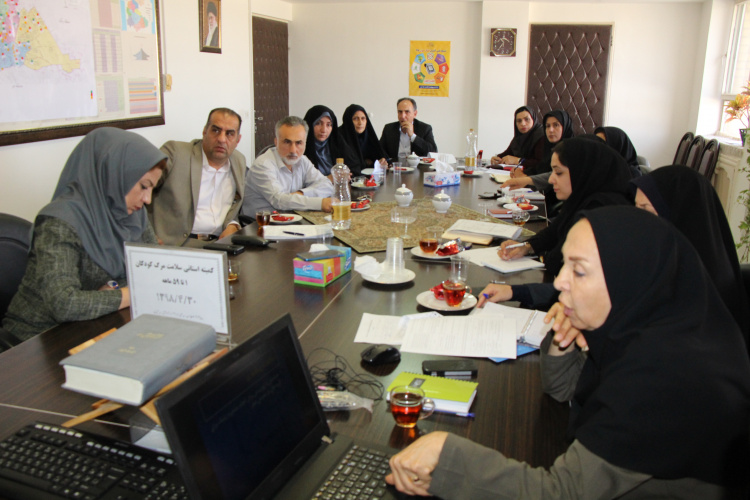 کمیته استانی مرگ کودک ۱ تا ۵۹ ماهه ، مرکز بهداشت استان مرکزی ، ۳۰ تیر ماه