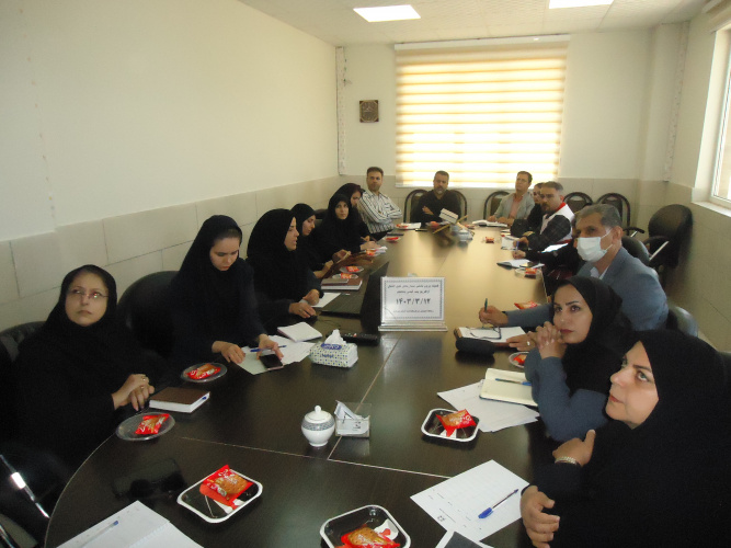 کمیته برون بخشی بیماریهای منتقله از پشه آئدس مهاجم تشکیل شد