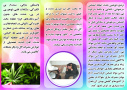 بروشور ماده اعتیادآور گل