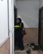 غربالگری سلامت روانی آسیب‌دیدگان حادثه حمله نظامی به ساختمان نارنجستان توسط تیم‌های سلامت روان مرکز بهداشت اراک