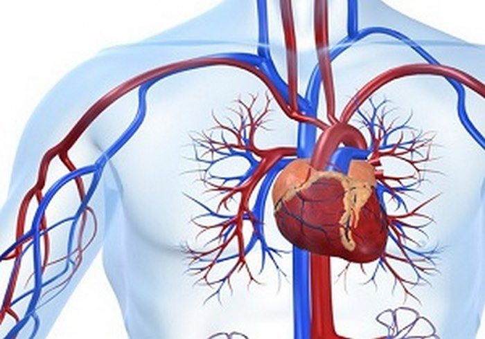 انجام آزمون های تشخیصی و آزمایش های خون قبل از عمل جراحی لازم است