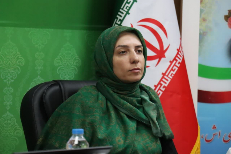 پیوستن استان مرکزی به پروژه «شهر سالم»؛ تقویت ساختارهای سلامت روان و اجتماعی ضروری است