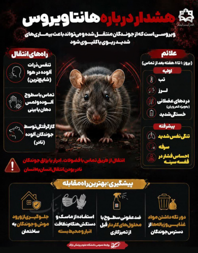 هشدار درباره هانتاویروس